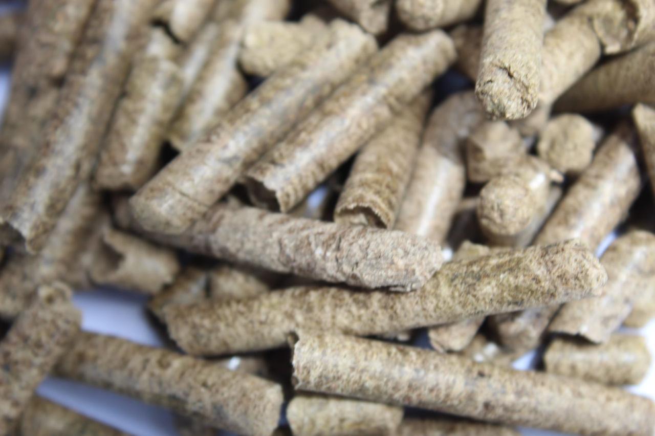 Pellets de madera Popipet Ecoarena en detalle