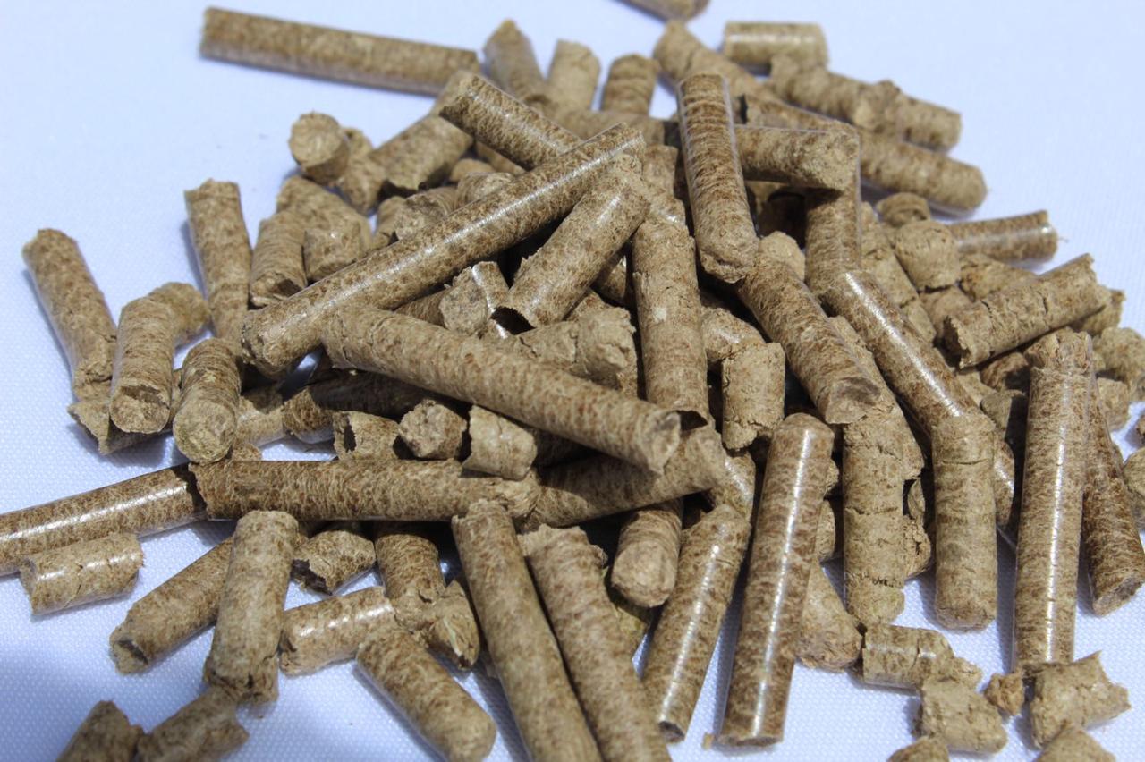 Pellets de Popipet Ecoarena listos para el arenero